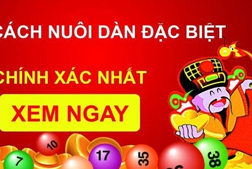 một số dàn đề đặc biệt chơi là chuẩn